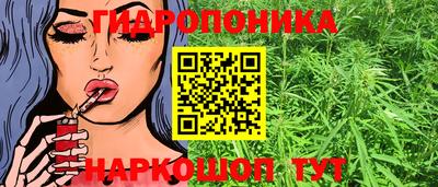 МДПВ Рыбинск