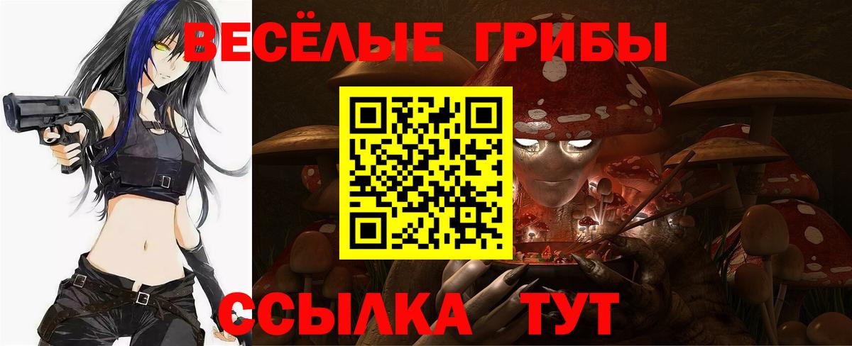 Галлюциногенные грибы Cubensis  Вход с VPN  купить закладку  Сорочинск 